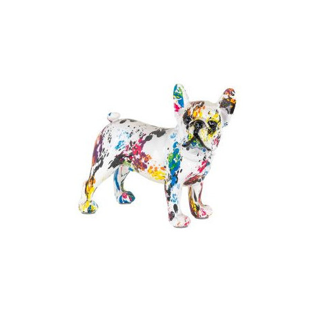 Dog arcobaleno