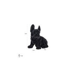Dog Maya Black