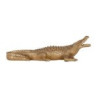 Coccodrillo Oro Piccolo